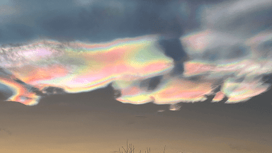 Cognitive Enhancement