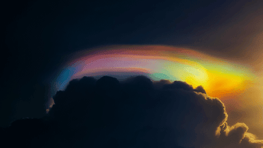 Optimal Brain Function